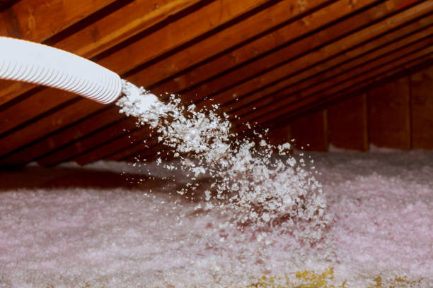 Best Attic Insulation Near Me  in Han, GA