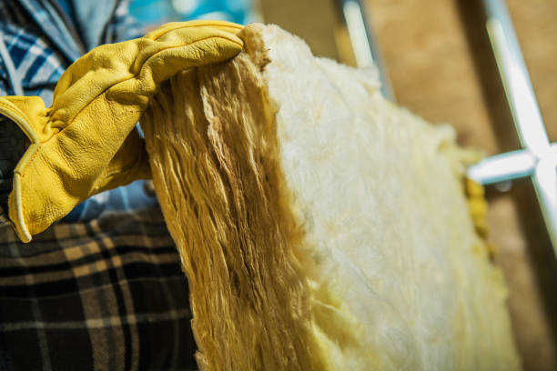 Best Insulation for Commercial Buildings  in Han, GA