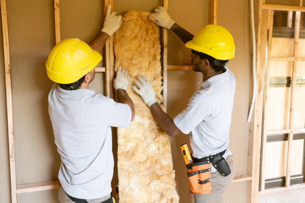 Best Insulation Inspection Services  in Han, GA