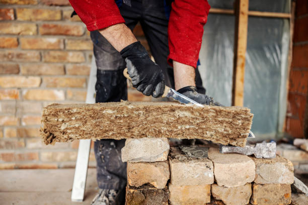 Best Insulation Removal Services  in Han, GA